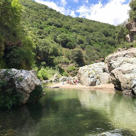 Ferula Romantica Mansarda Tra Fiumi E Montagne Sardegna Seulo Экстерьер фото