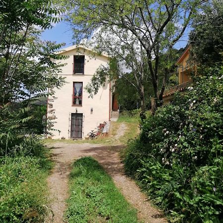 Ferula Romantica Mansarda Tra Fiumi E Montagne Sardegna Seulo Экстерьер фото