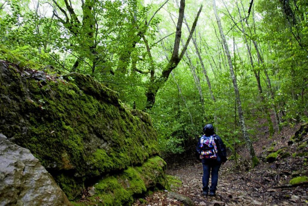 Ferula Romantica Mansarda Tra Fiumi E Montagne Sardegna Seulo Экстерьер фото