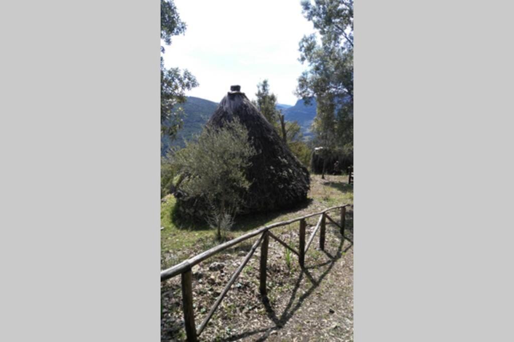Ferula Romantica Mansarda Tra Fiumi E Montagne Sardegna Seulo Экстерьер фото