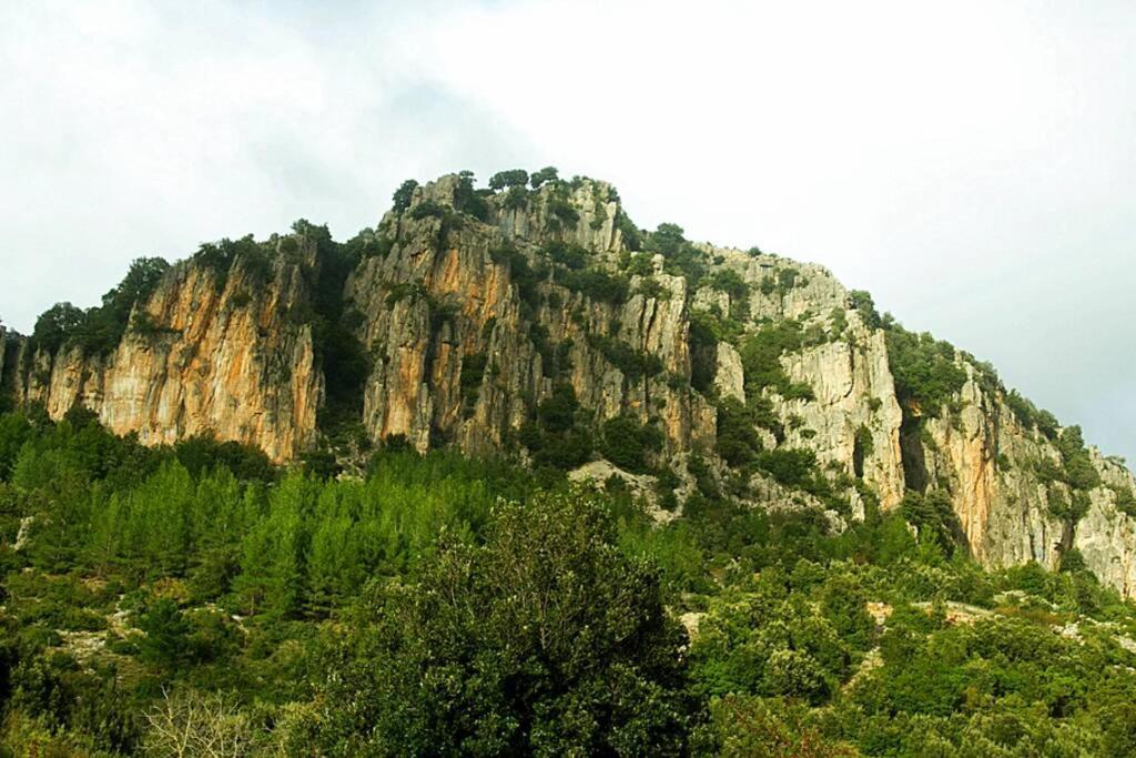 Ferula Romantica Mansarda Tra Fiumi E Montagne Sardegna Seulo Экстерьер фото