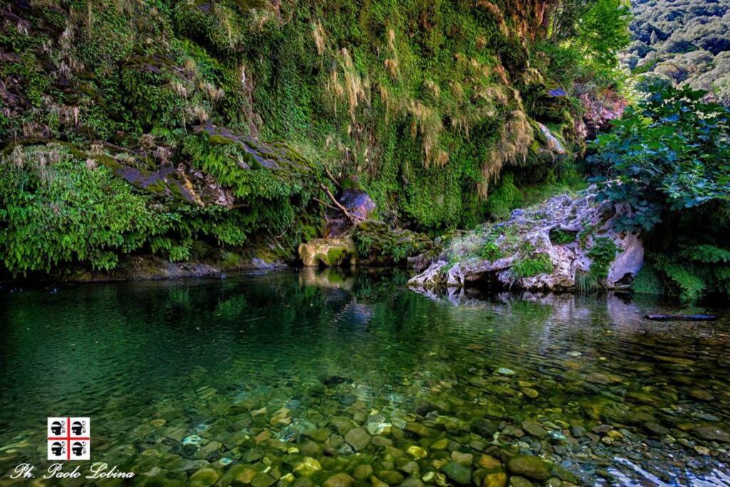 Ferula Romantica Mansarda Tra Fiumi E Montagne Sardegna Seulo Экстерьер фото